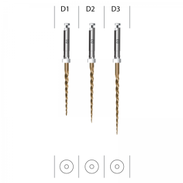 EndoArt Retreatment Files